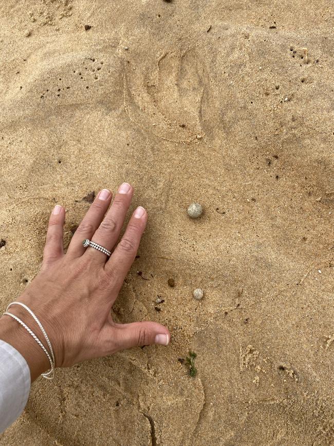 The debris washed up on Tuesday. Picture: Supplied