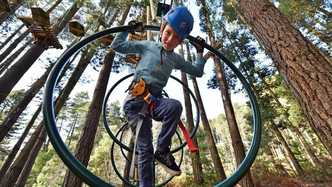 Trees Adventure will have the kids entertained for hours. Picture: Supplied