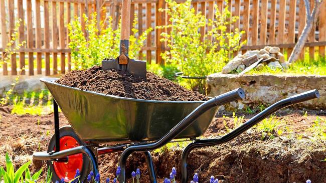 NO COMPOST: Lismore green-thumbs will have to look elsewhere for compost after the waste centre fire. Picture: Contributed