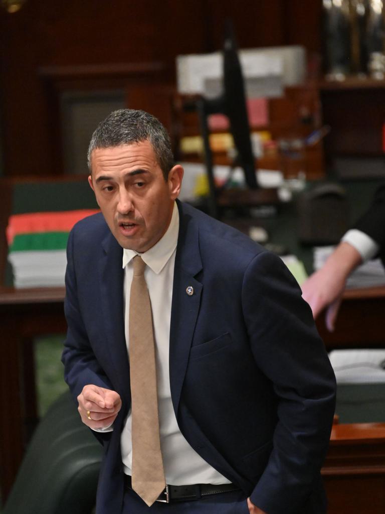 Ms Chapman said an application to recuse Labor MP Tom Koutsantonis had not been properly dealt with. Picture: Keryn Stevens