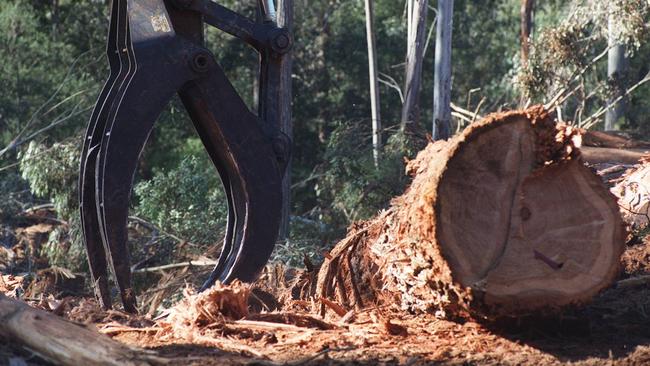 Australians should realise we’re a responsible nation on timber logging