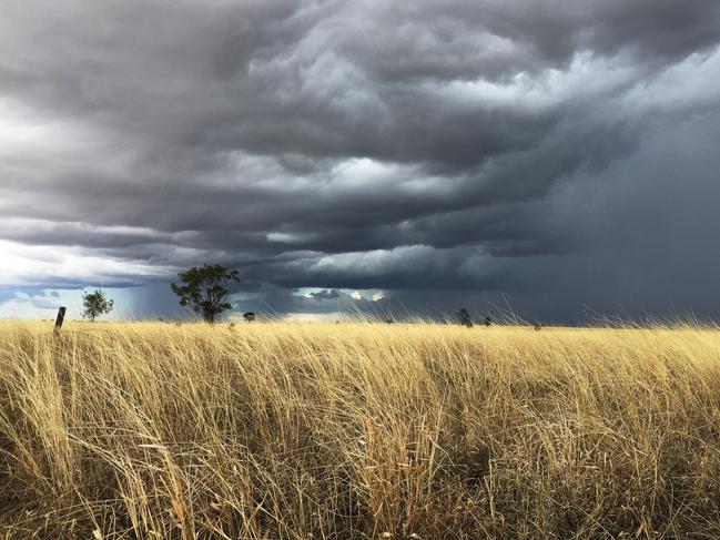 Thunderstorms heading west for week of erratic weather