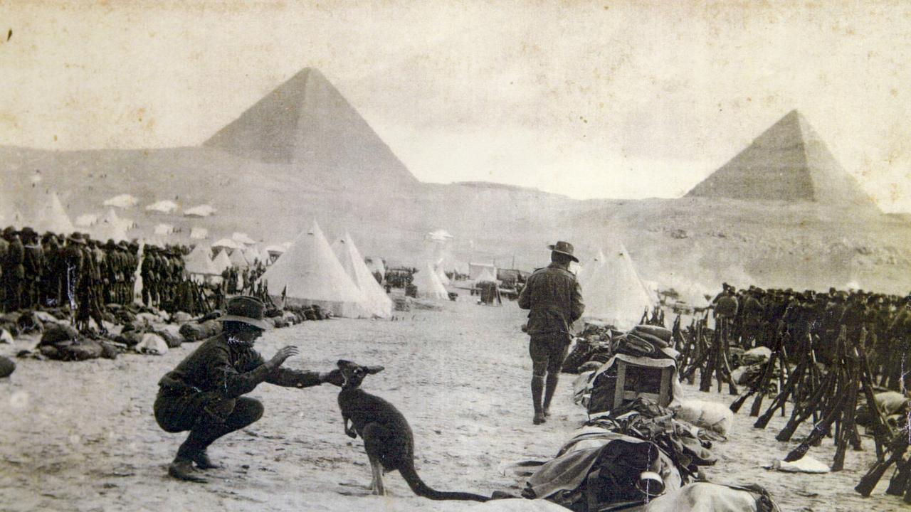 Australian soldier Walter Mactaggart feeding his pet kangaroo or wallaby at Mena Camp in Egypt (see the pyramids in the background) before going to fight at Gallipoli.