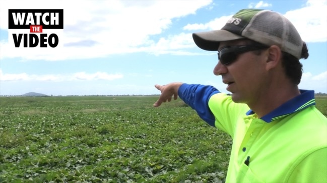 Farm Labour Shortages