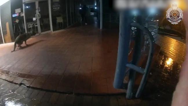 A police dog chased McIver down until he was apprehended a short distance away from the Robina Chemist. Picture: Queensland Police Service