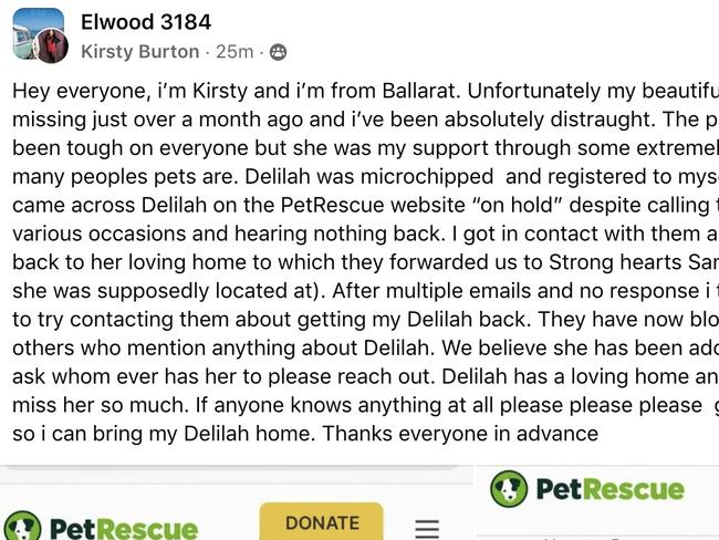 ‘Ridiculous’ reason woman’s cat taken away