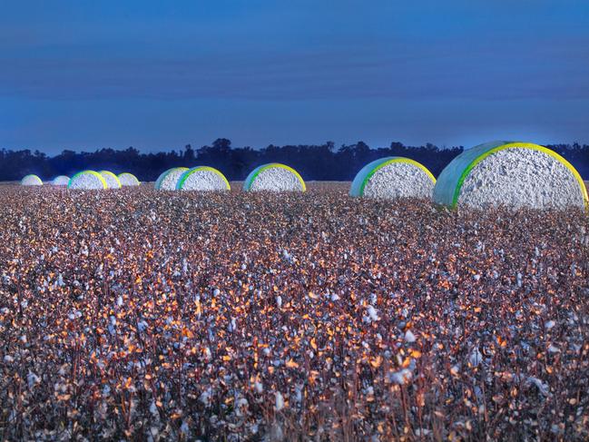 FARMERS in the Far North are looking to cotton with the first harvest of trial crops set to begin. Cotton Australia general manager operations said a field day visiting farms growing cotton at Mt Garnet and Mt Surprise attracted more than 120 people. He said the Far North would contribute about 30,000 bales, which weigh 227kg each, this season; the harvest Australia-wide will produce 2.8 million bales worth and the industry is worth $2b to $3b annually. Picture: supplied.