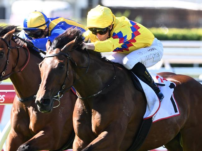 Freedom Rally scores the Listed Wayne Wilson at Eagle Farm for trainer Tony Gollan and jockey James McDonald. Pictures: Grant Peters, Trackside Photography.