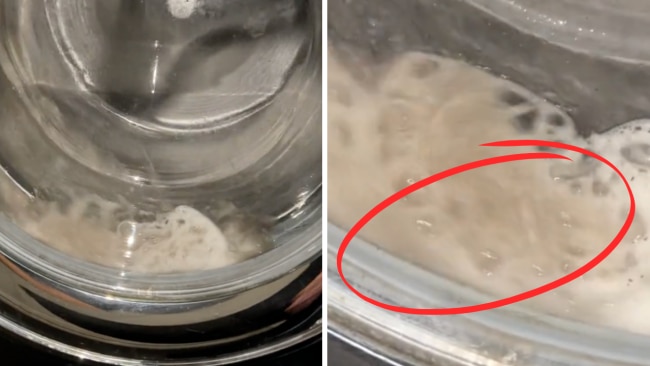 The woman shared a video of her gross find to remind people to wash their washing machine. Image: TikTok / @thatcleanhome