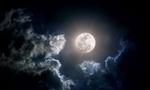<p><b>Full moon</b></p>
<p>No, you’re not imagining it when your kids go a bit bonkers when there’s a full moon on display. Those old wives have been hinting for centuries that a full moon can make for some weird-ass behaviour – from both animals and humans alike.</p> 
<p>Generally, researchers have yet to prove categorically that our behaviour, fertility and birth rate, etc. are affected by lunar patterns (are you are LUNAtic?). But one study in particular has found that we find it more difficult to sleep around the time of a full moon, despite black-out blinds, etc.</p>