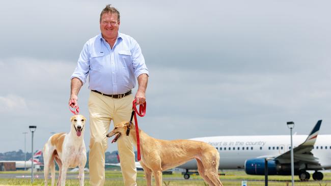 Greyhound Racing NSW boss Rob Macaulay with US-bound retirees Fred and Ginger at Sydney Airport Picture: Justin Lloyd