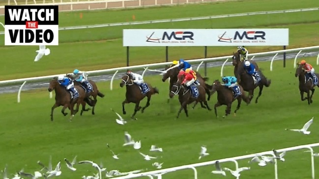 TAB Market Update - Villiers Stakes
