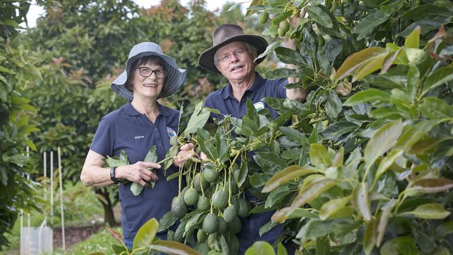 Avoland Avocados owners Paul and Maria Bidwell at Gawler. PICTURE CHRIS KIDD