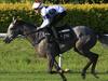 History working for and against Group 1 duo for Newnham