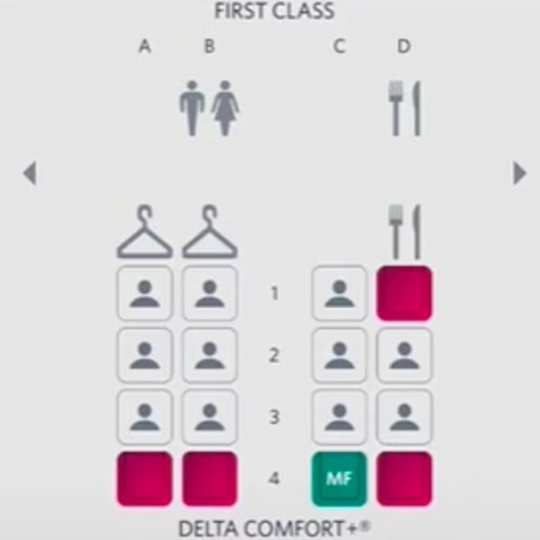 She shared a snap of the first class map on Delta Airlines to her users. Picture: TikTok/maresasd