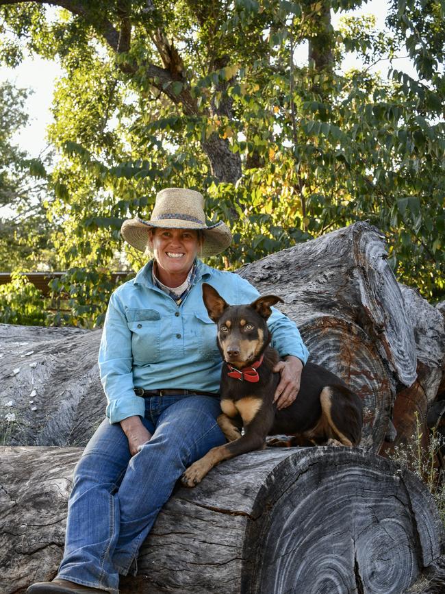 Joni Hall and Derby in Muster Dogs.