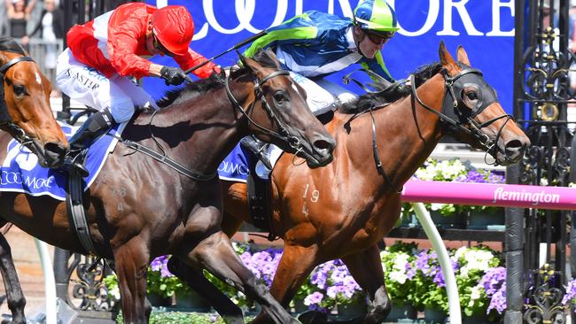 Freshman sire Merchant Navy winning the 2017 Coolmore Stud Stakes at Flemington. Picture: Vince Caligiuri – Getty Images