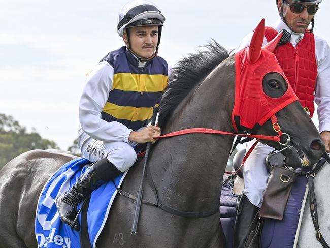 The OTI-raced, Joe Pride-trained Emilia Jane is Shayne O'Cass's best bet of the day at Kembla Grange on Tuesday. Picture: Bradley Photos