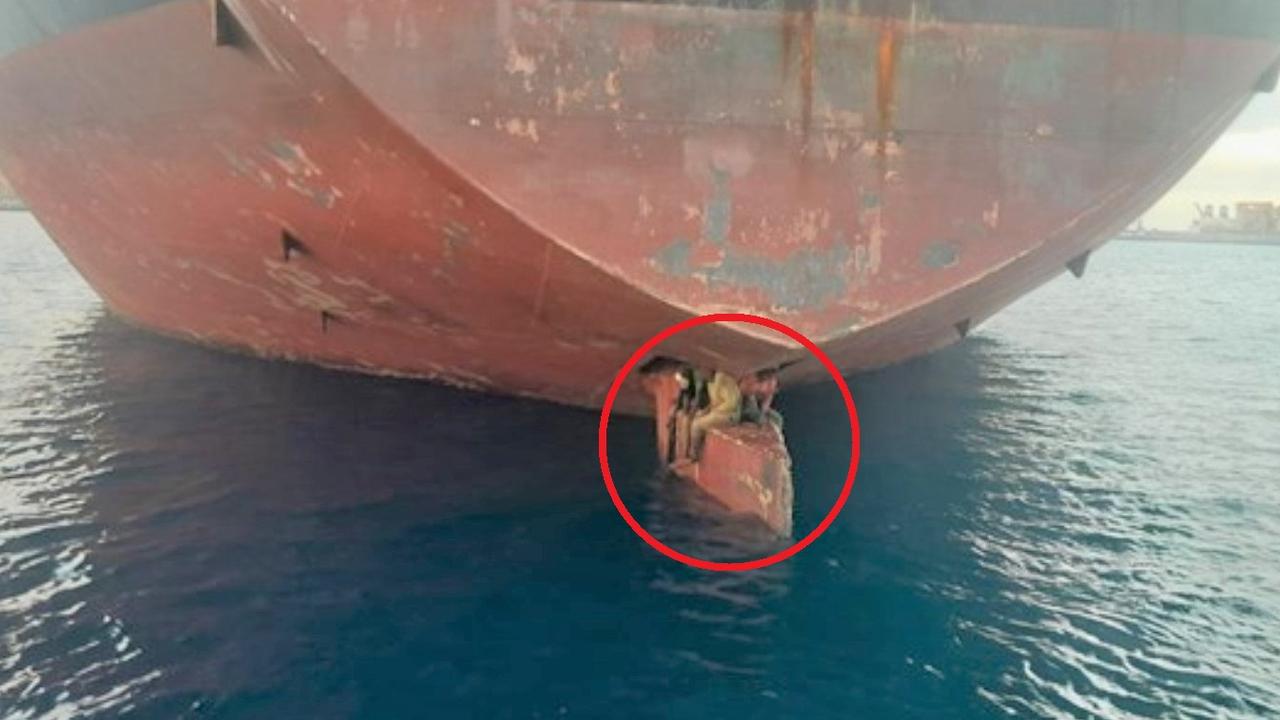 Stowaways found on ship's rudder after surviving 11-day trip