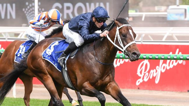 Star three-year-old Switzerland will be out to complete the Coolmore Stud Stakes and Lightning Stakes double at Flemington. Picture: Racing Photos via Getty Images.