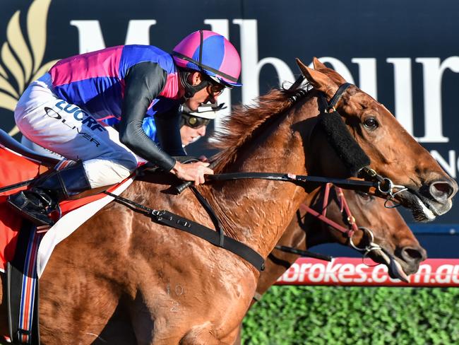 Vega Magic ridden by Damien Oliver wins the Lister Regal Roller Stakes at Caulfield. Picture: John Donegan/Getty Images