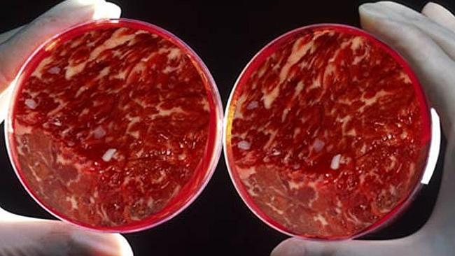 Cloned meat: Have you eaten it without realising? | news.com.au — Australia's leading news site