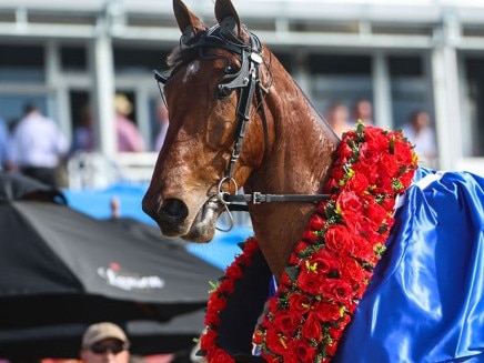 Superstar pacer Swayzee made it back to back NZ Cups