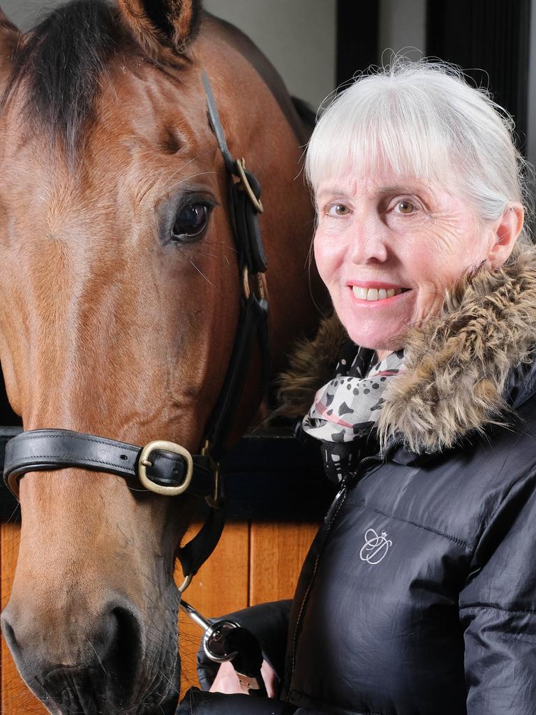 Marry Hanna: Bellarine dressage rider in Australian Tokyo Olympics team |  Geelong Advertiser