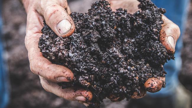 A handful of the compost. Picture: Katherine Jamison