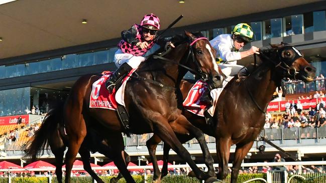 Rothfire (left) almost pulled off an upset in the Doomben 10,000 when second to Sunshine In Paris. Picture: Grant Peters / Trackside Photography