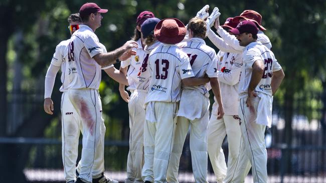 Palmerston’s B-grade side celebrating a wicket during their Two-Day DDCC grand final victory. Picture: Patch Clapp.