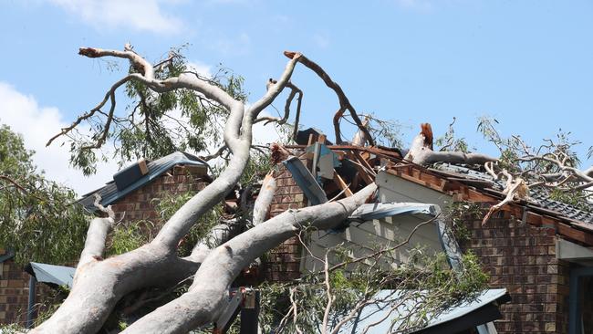 Residents survey the damage at Helensvale caused by wild weather Xmas night. Tree into a house on Tibouchina Court. Picture Glenn Hampson