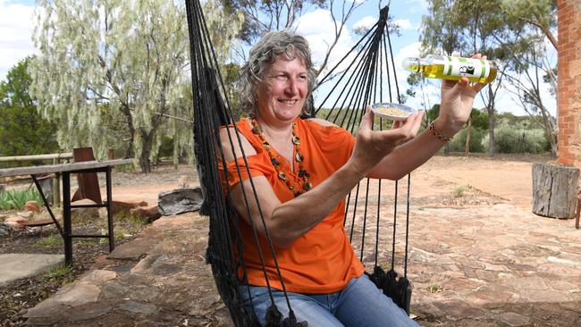 Beetaloo Grove owner Sue Scarman believes the Southern Flinders region is capable of drawing more tourists. Picture: Tricia Watkinson