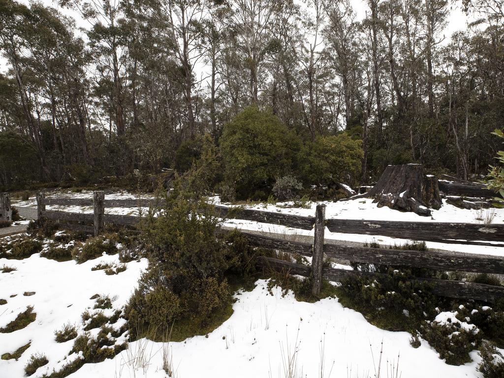 Snow at Cradle Mountain. PICTURE CHRIS KIDD