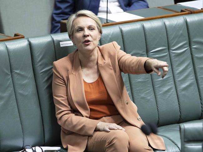 Tanya Plibersek. Picture: NCA NewsWire / Gary Ramage