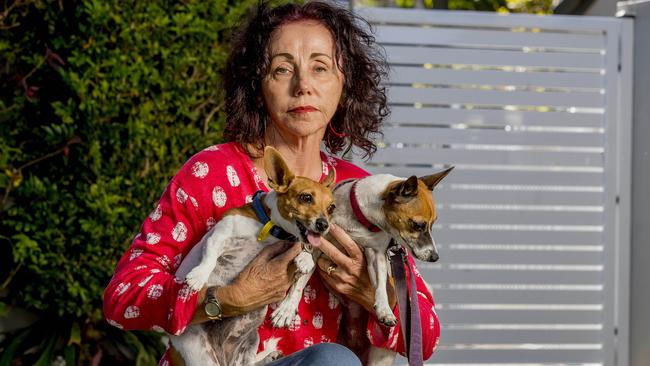 Kaye McKinnon with her two mini foxy's ( red collar, Jaque and blue Poppy. Picture: Jerad Williams