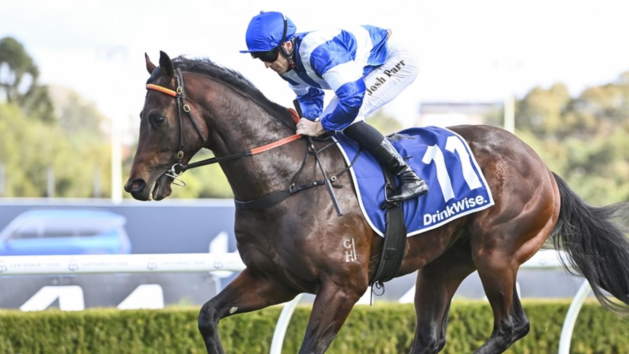 Straand Beauty has barrier one at Canterbury on Friday night to the delight of trainer Anthony Cummings. Picture: Bradley Photos