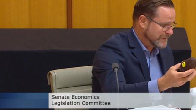 Greens Senator Peter Whish-Wilson in estimates this morning.