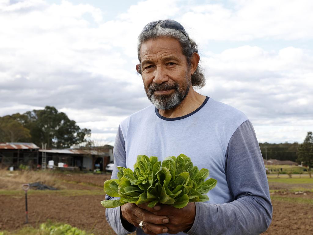 Mr Fiefia says selling what is left of his crop at farmers’ markets was his only source of income. Picture: Jonathan Ng