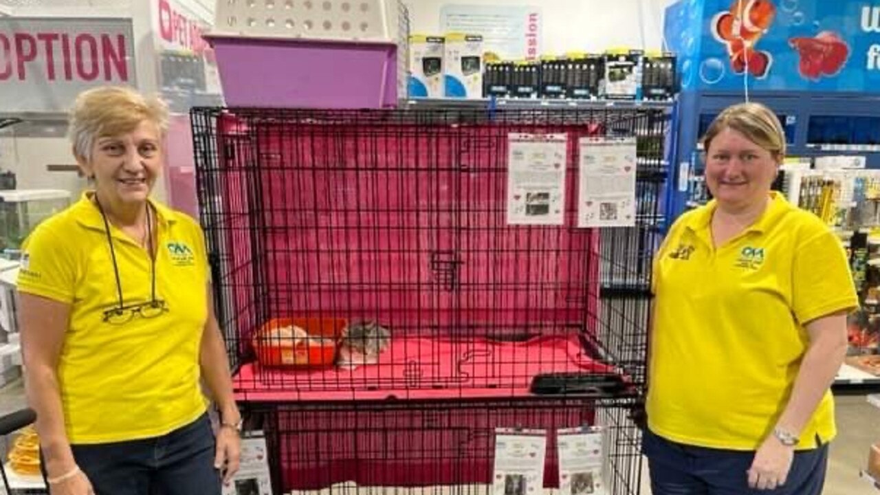 Capricorn Animal Aid's Kerryanne Pederick and Bronwyn Nunn. Picture: Contributed