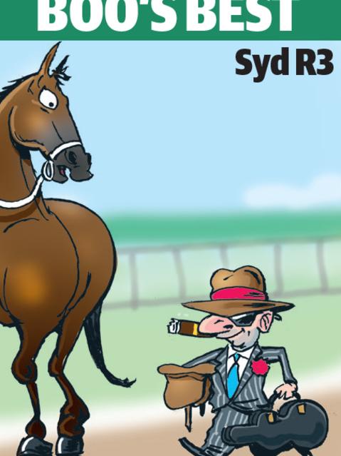 Boo Bailey's cartoon tip for Randwick.