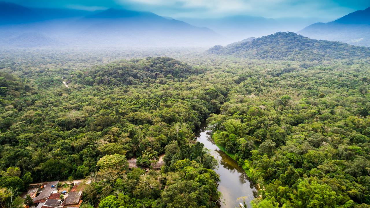 The Amazon rainforest spans over 5.5 million km².
