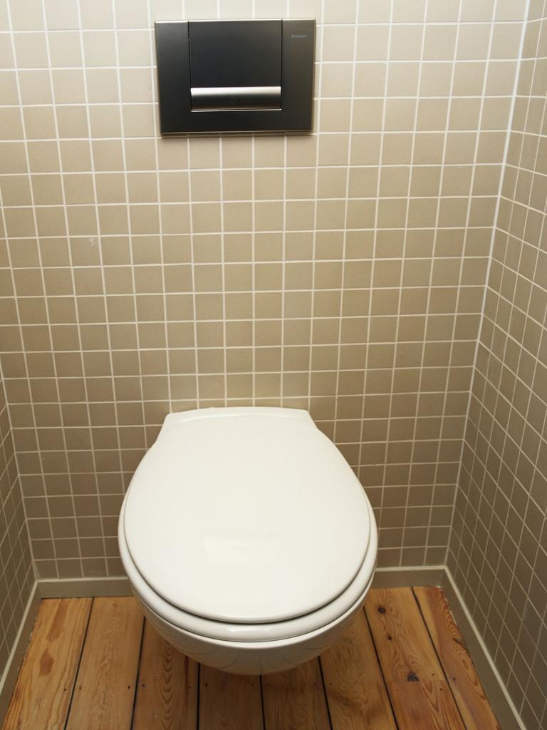 At one stage, the tenant allegedly blocked her toilet with a large amount of toilet paper and requested an emergency repair. Picture: File photo/stock.