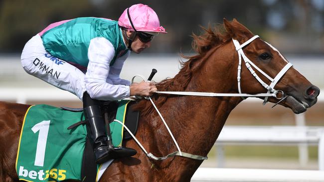 Jockey Hugh Bowman rides Finche in the Geelong Cup. Picture: AAP