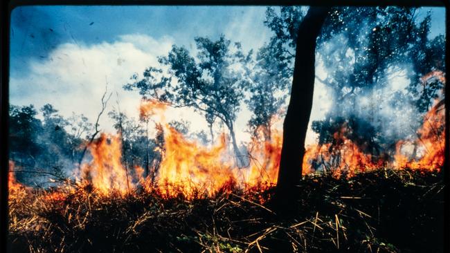 Cabinet papers 1992 – Top End grassfires were a common occurrence in the Top End in 1992. A discussion paper looking at developing a wildfire management strategy was released that year.