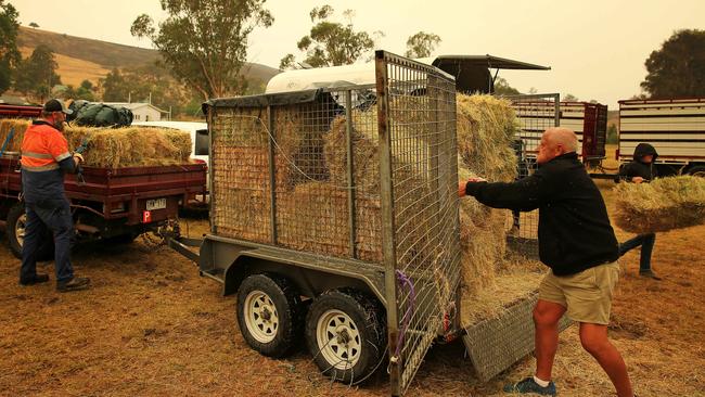 A Need for Feed Hay Convoy provides much needed relief to the isolated town of Buchan in the aftermath of the Victorian Bushfire crisis. Picture: Mark Stewart