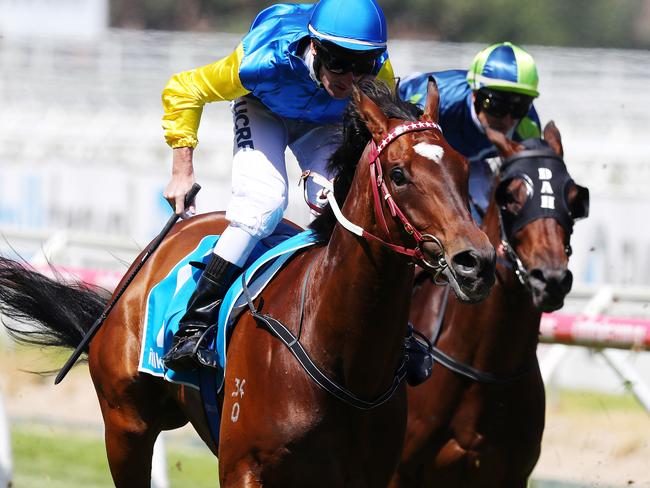 Black Heart Bart wins the Group 1 Futurity Stakes at his last start at Caulfield over his pet distance of 1400m. Picture: Michael Klein