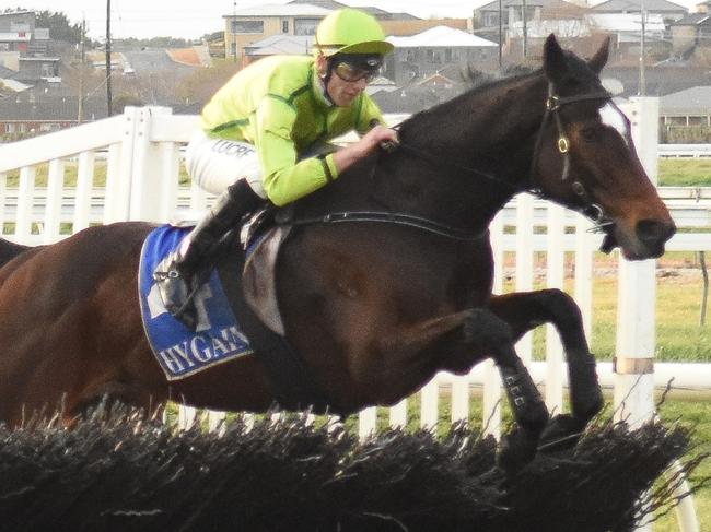 Self Sense ridden by Clayton Douglas jumps during the Toot Traffic Kevin Lafferty Hurdle at Warrnambool Racecourse on July 08, 2018 in Warrnambool, Australia. (Todd Nicholson/Racing Photos via Getty Images)