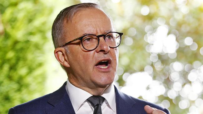 Anthony Albanese campaigns in Willoughby in Sydney’s north on Wednesday. Picture: Sam Ruttyn