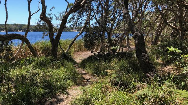 Lake Ainsworth. Picture: Amanda Robbemond